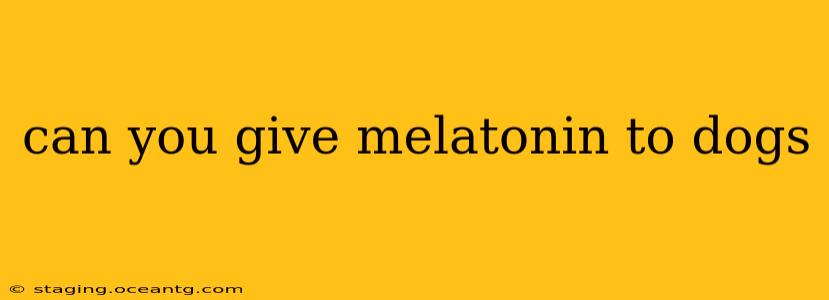 can you give melatonin to dogs