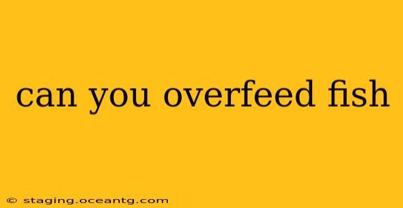 can you overfeed fish