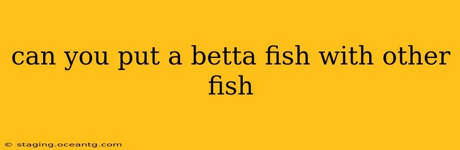can you put a betta fish with other fish