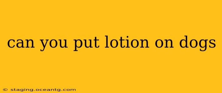 can you put lotion on dogs