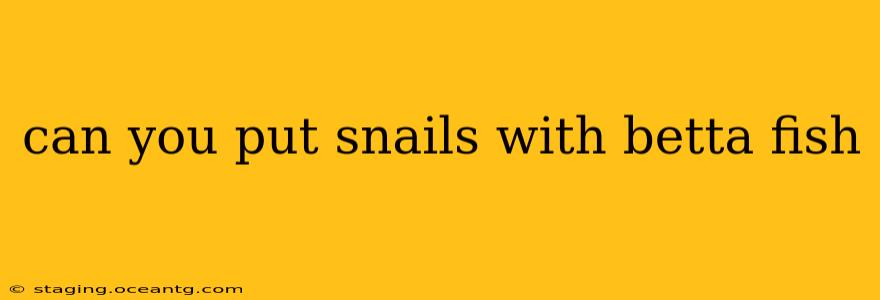 can you put snails with betta fish