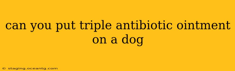 can you put triple antibiotic ointment on a dog