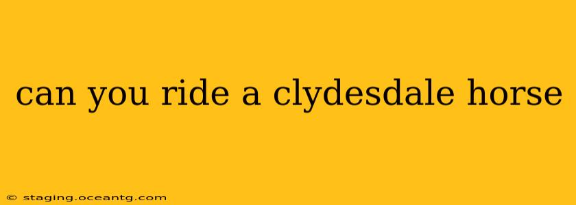 can you ride a clydesdale horse