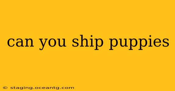 can you ship puppies