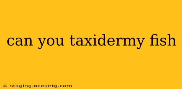 can you taxidermy fish