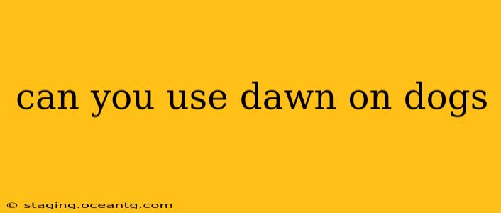can you use dawn on dogs