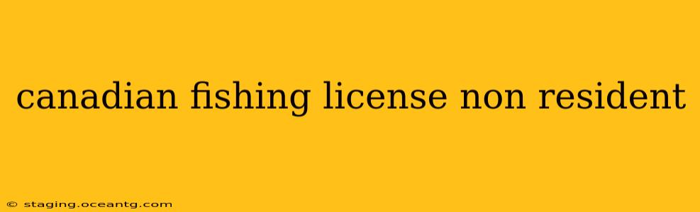 canadian fishing license non resident