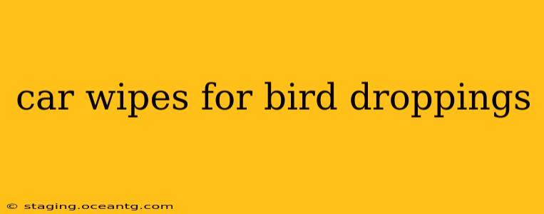 car wipes for bird droppings