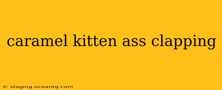 caramel kitten ass clapping caramel kitten ass clapping