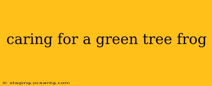 caring for a green tree frog