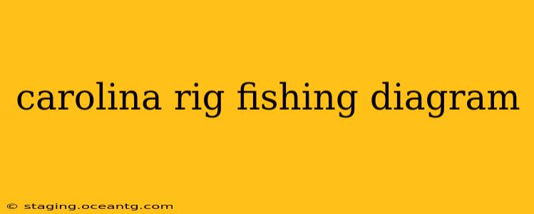 carolina rig fishing diagram