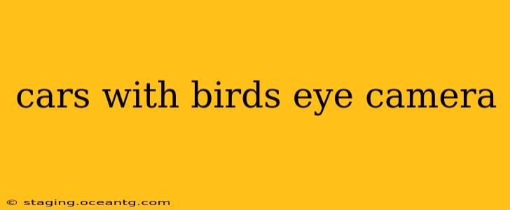 cars with birds eye camera