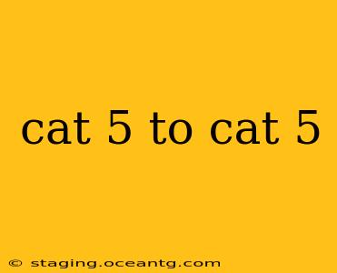 cat 5 to cat 5