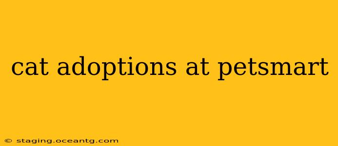 cat adoptions at petsmart