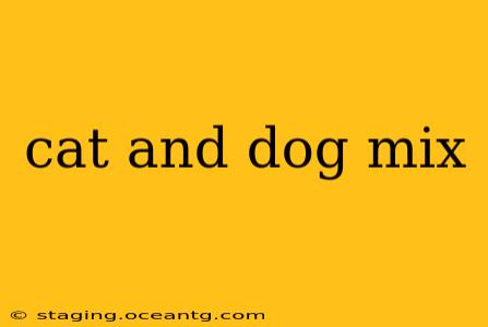 cat and dog mix