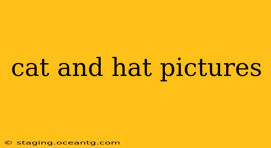 cat and hat pictures