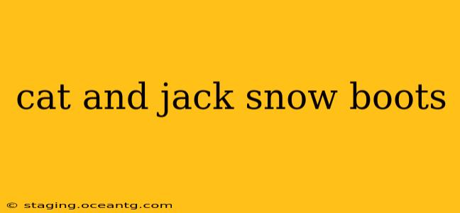 cat and jack snow boots