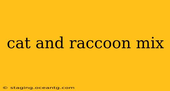 cat and raccoon mix