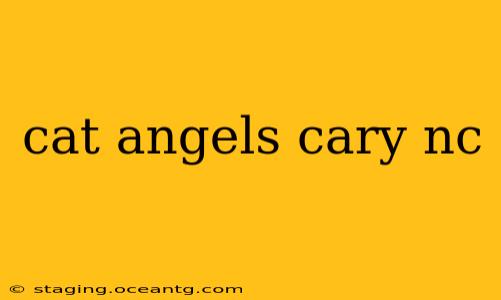 cat angels cary nc