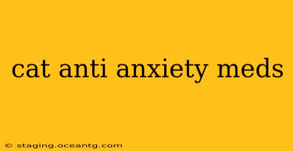 cat anti anxiety meds