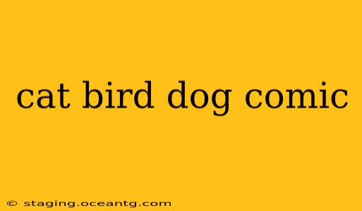cat bird dog comic