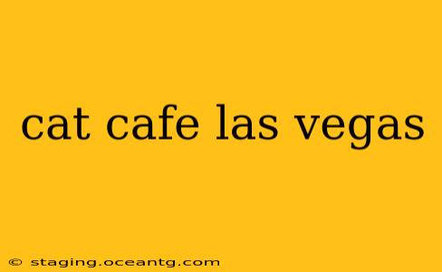 cat cafe las vegas