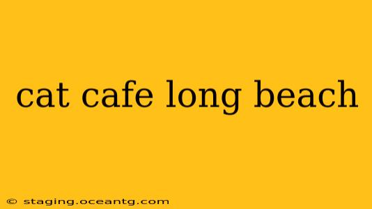 cat cafe long beach