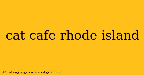 cat cafe rhode island