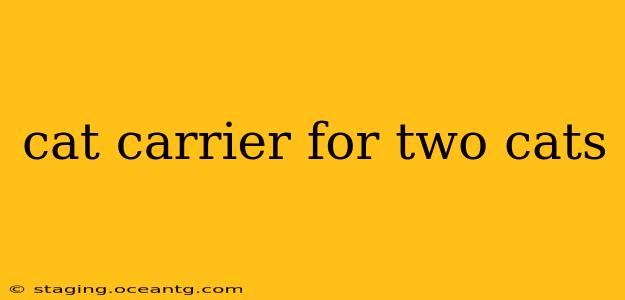 cat carrier for two cats