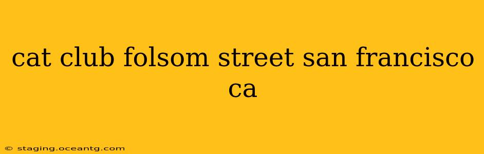 cat club folsom street san francisco ca