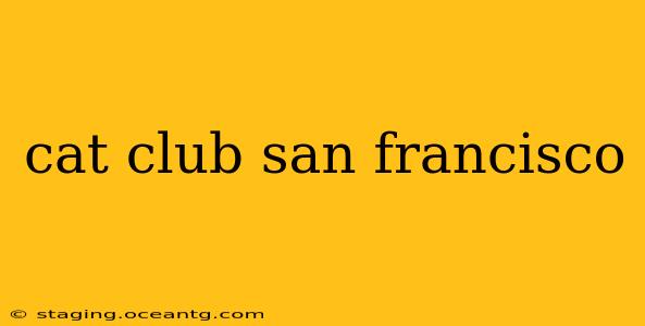 cat club san francisco