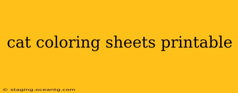 cat coloring sheets printable