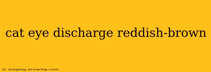 cat eye discharge reddish-brown