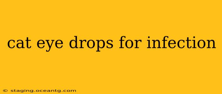 cat eye drops for infection