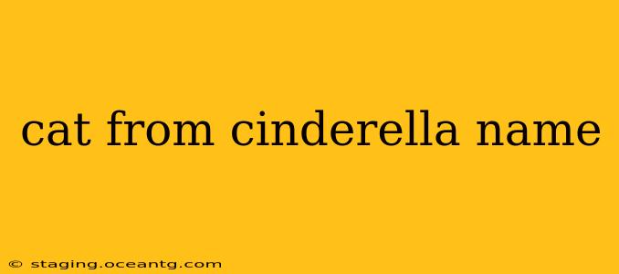 cat from cinderella name