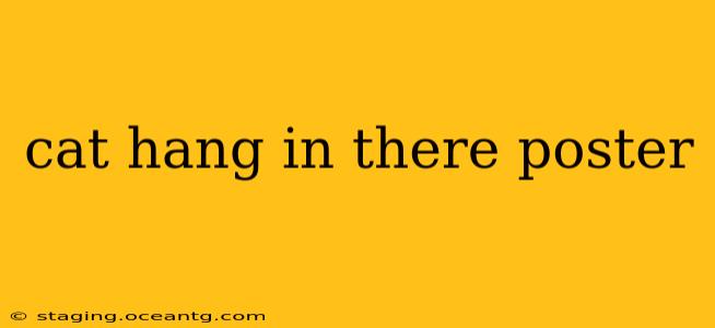 cat hang in there poster