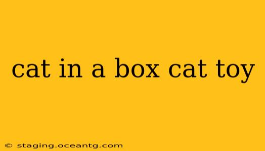 cat in a box cat toy