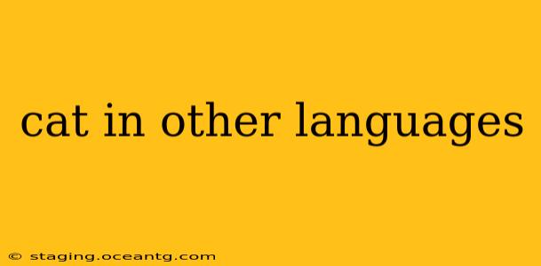 cat in other languages