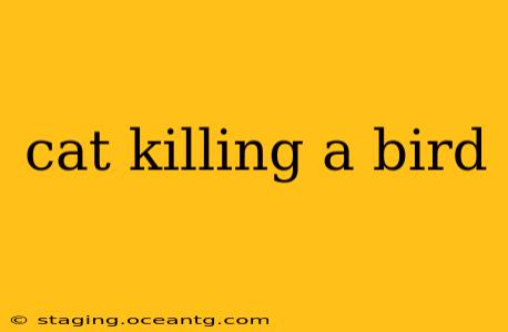 cat killing a bird