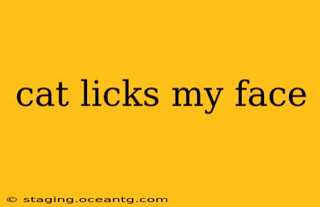 cat licks my face