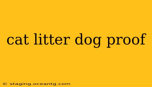cat litter dog proof