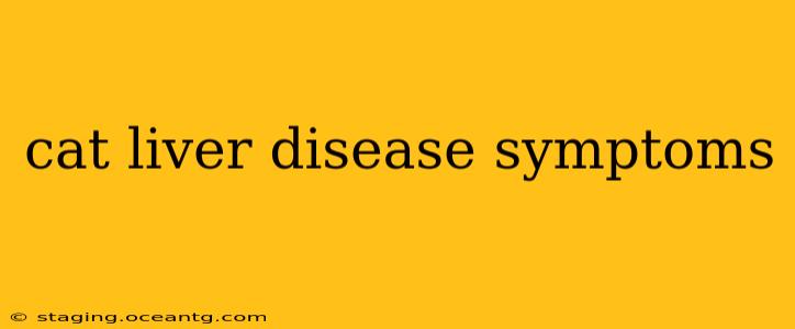 cat liver disease symptoms