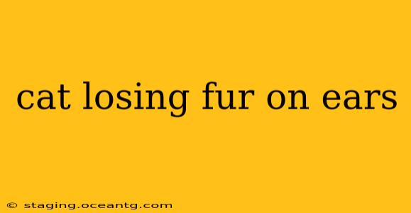 cat losing fur on ears