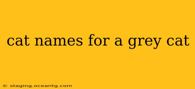 cat names for a grey cat