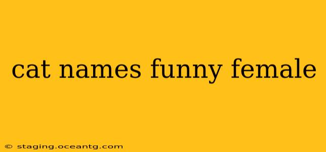 cat names funny female