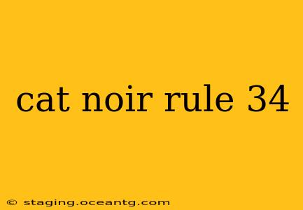 cat noir rule 34
