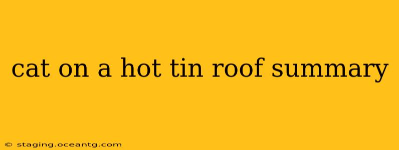 cat on a hot tin roof summary