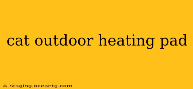 cat outdoor heating pad