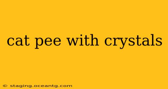 cat pee with crystals