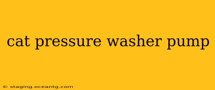 cat pressure washer pump